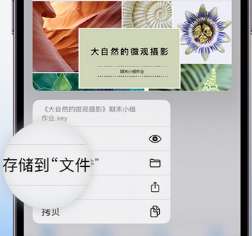 鄂伦春apple维修中心分享iPhone文件应用中存储和找到下载文件