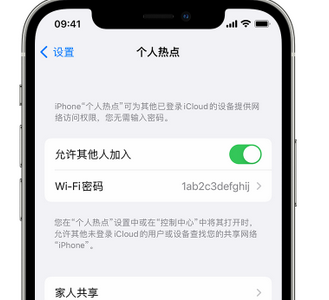 鄂伦春apple服务站点分享iPhone上个人热点丢失了怎么办 