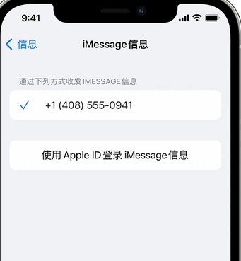 鄂伦春apple维修iPhone上无法正常发送iMessage信息 