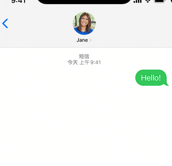 鄂伦春apple维修iPhone上无法正常发送iMessage信息