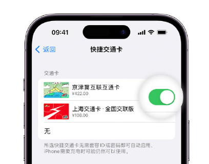 鄂伦春apple维修点分享iPhone上更换Apple Pay快捷交通卡手绘卡面 