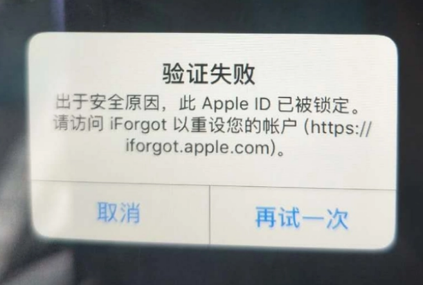 鄂伦春iPhone维修分享iPhone上正常登录或使用AppleID怎么办 