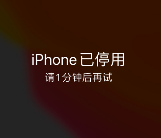 鄂伦春苹果手机维修分享:iPhone 显示“不可用”或“已停用”怎么办？还能保留数据吗？ 