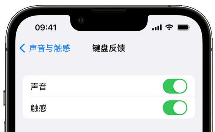 鄂伦春苹果手机维修分享iPhone 14触感键盘使用方法 