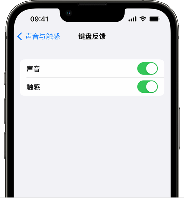 鄂伦春苹果14维修店分享如何在 iPhone 14 机型中使用触感键盘 