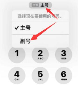 鄂伦春苹果14维修店分享iPhone 14 Pro Max使用副卡打电话的方法 