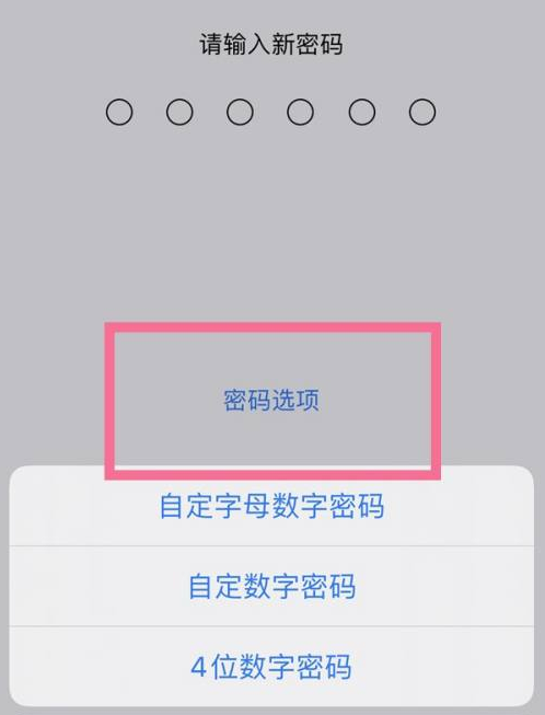 鄂伦春苹果14维修分享iPhone 14plus设置密码的方法 