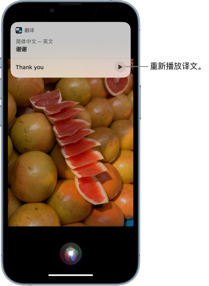 鄂伦春苹果14维修分享 iPhone 14 机型中使用 Siri：了解 Siri 能帮你做什么 