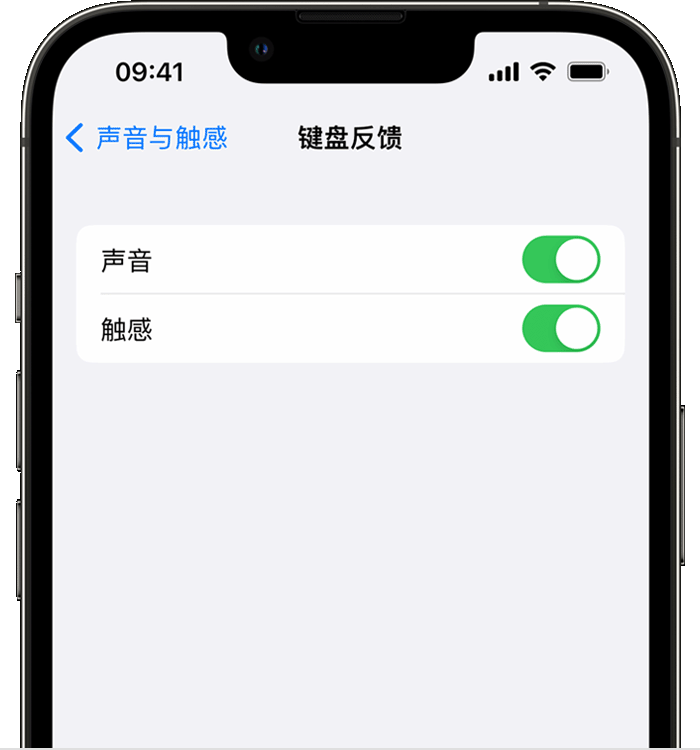 鄂伦春苹果14维修分享iPhone 14 系列机型如何开启键盘声音或触感反馈 