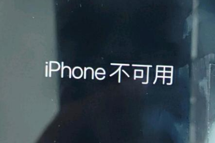 鄂伦春苹果服务网点分享锁屏界面显示“iPhone 不可用”如何解决 