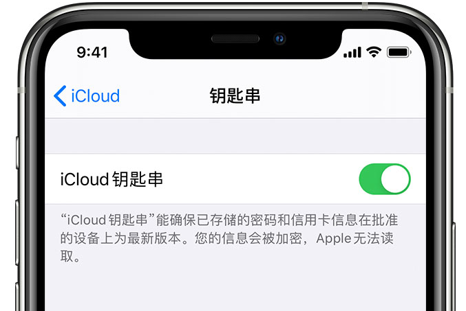 鄂伦春苹果手机维修分享在 iPhone 上开启 iCloud 钥匙串之后会储存哪些信息 