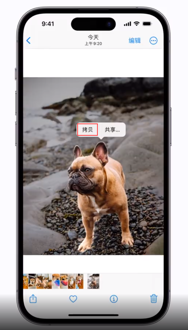鄂伦春苹果手机维修分享 iOS 16 自带一键抠图功能 