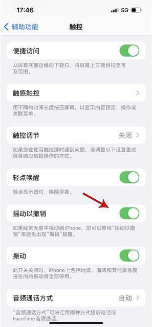 鄂伦春苹果手机维修分享iPhone手机如何设置摇一摇删除文字 