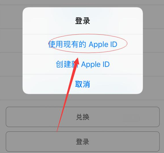 鄂伦春苹果手机维修分享两台iPhone设备可以同时登录一个Apple ID吗 