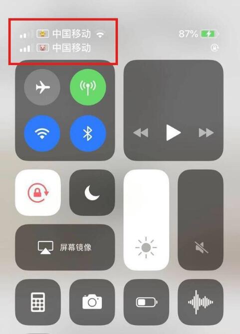鄂伦春苹果手机维修分享为 iPhone 12 双卡设置标签 