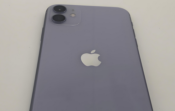 鄂伦春苹果11系统维修分享iPhone11手机系统崩溃无法开机如何解决 
